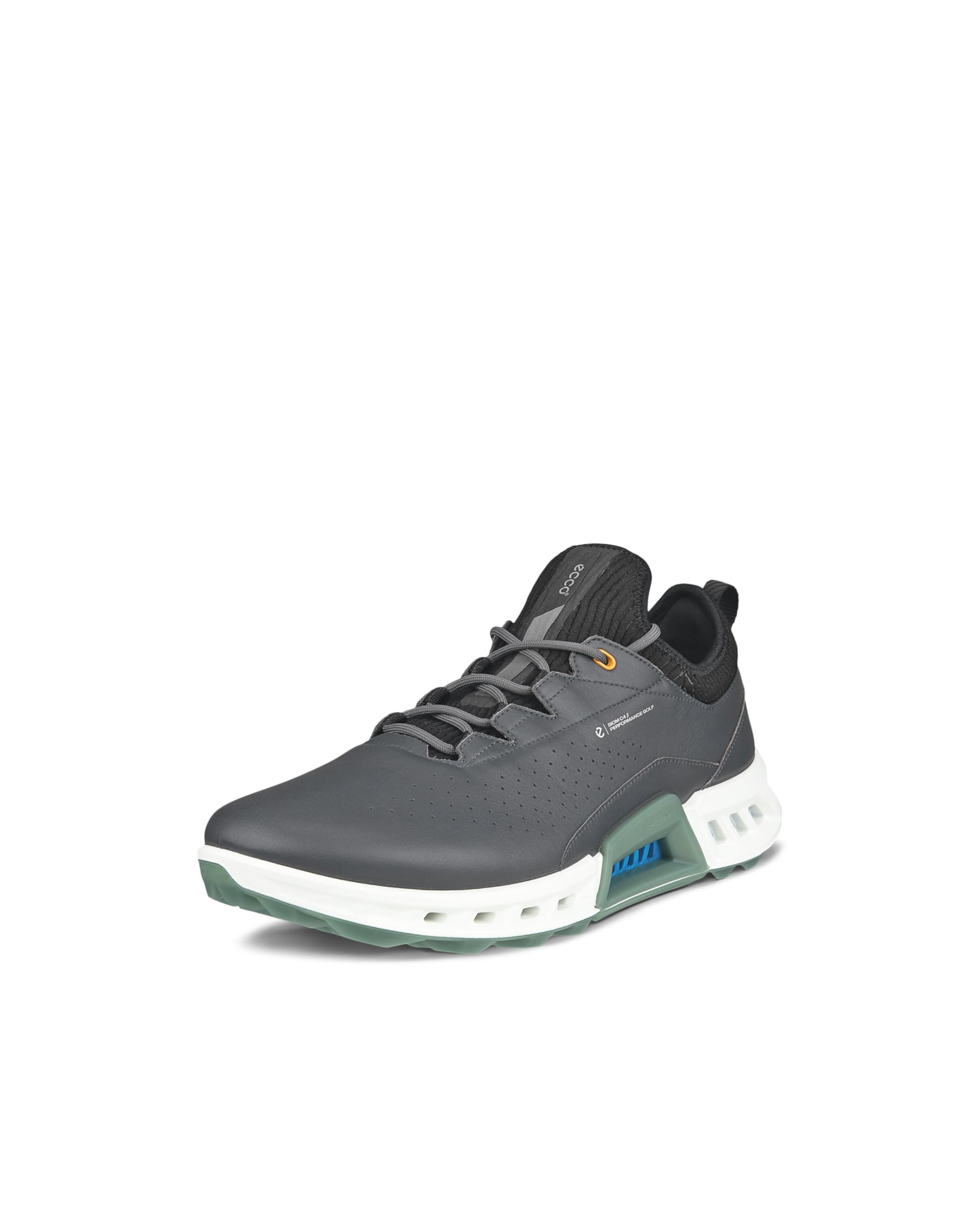 ECCO Biom C4